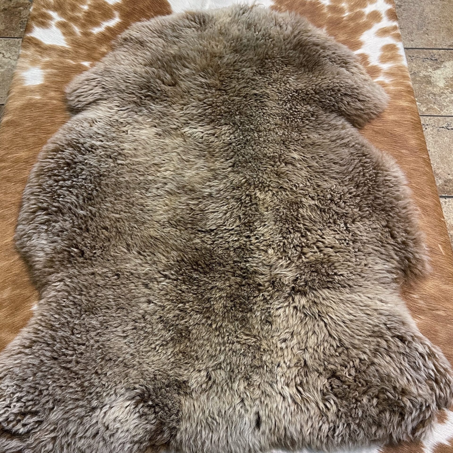 Australian-Sheepskin Cappuccino avetcoinc (1)