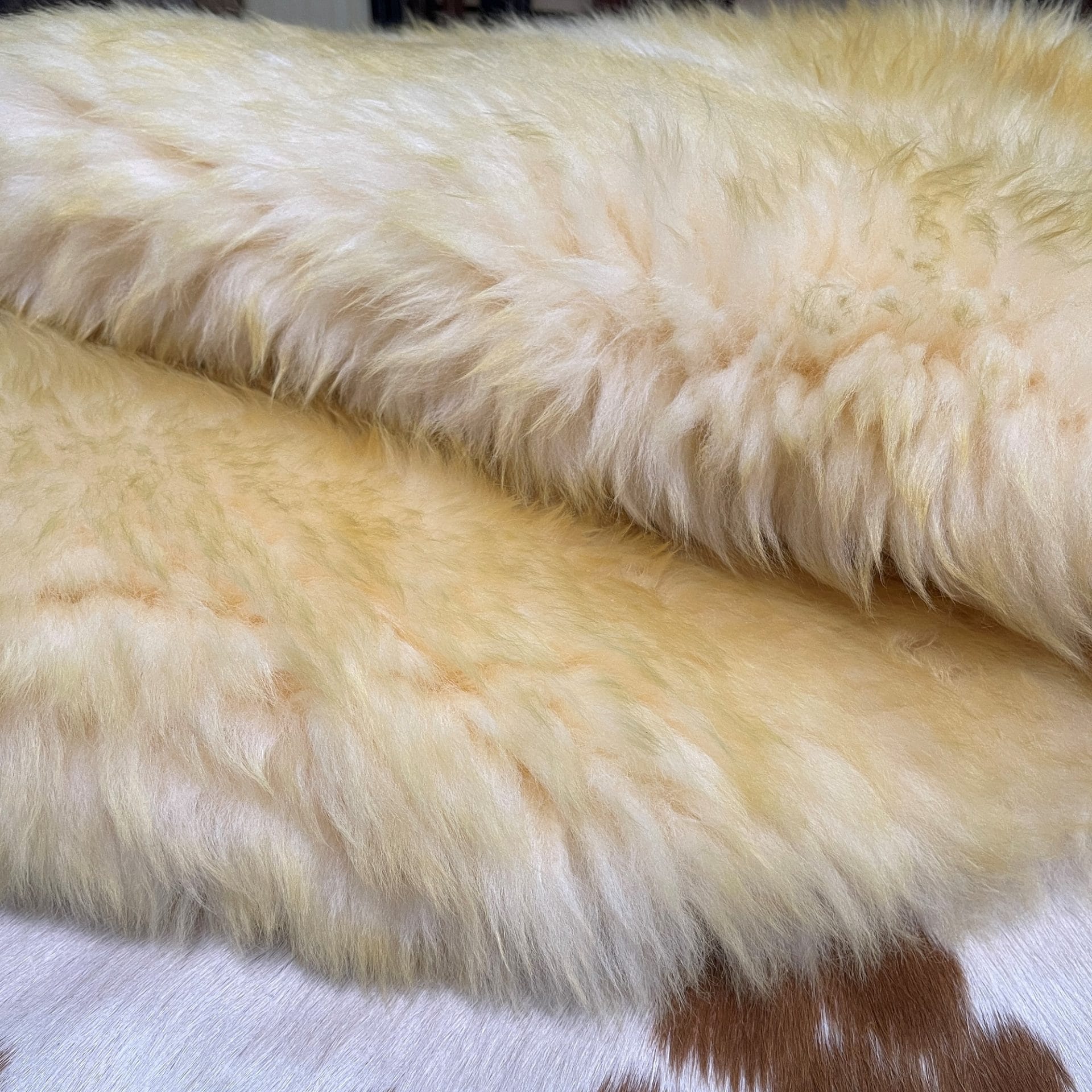 Australian-Sheepskin Crean YellowTip avetcoinc (2)
