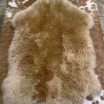 The Australian Sheepskin is soft, luxurious, and unique, with beautiful fur on the hide, available in several colors ranging from earthy to bright tones.