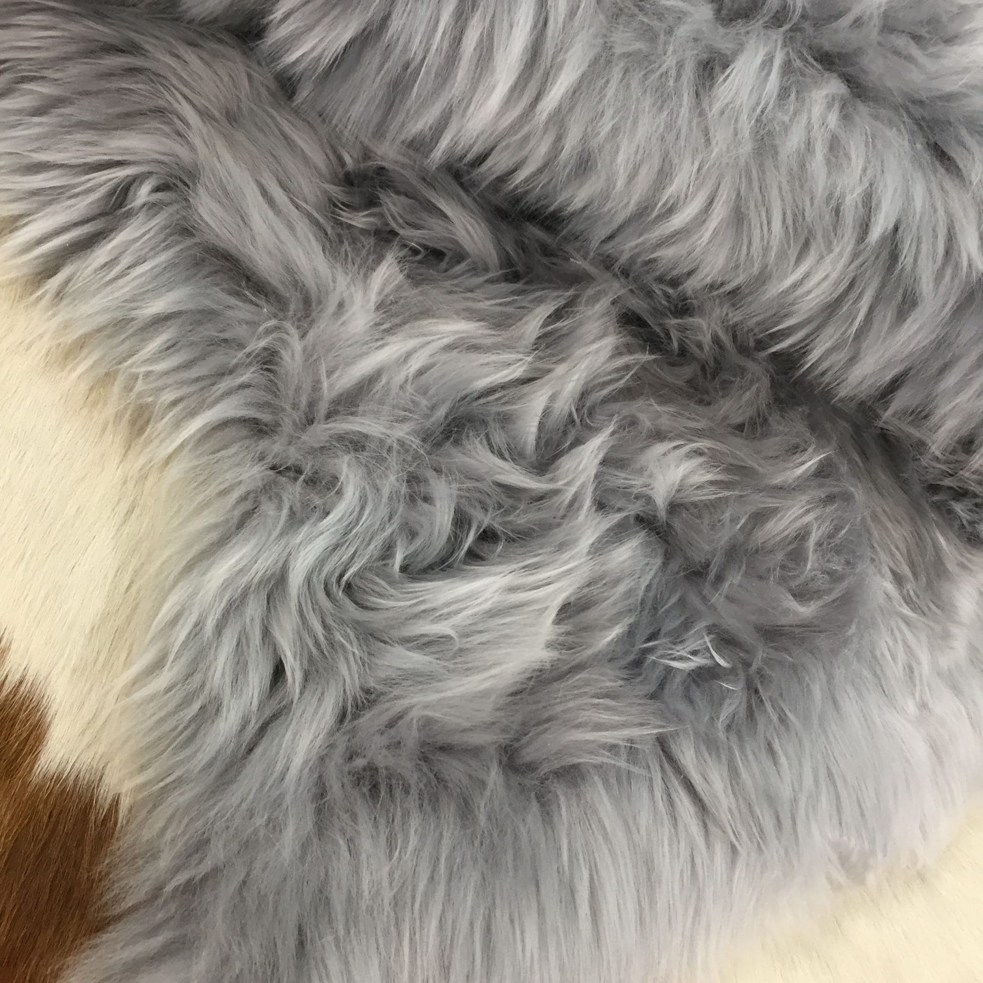 Australian Sheepskin JIN608 Grayavetcoinc (2)