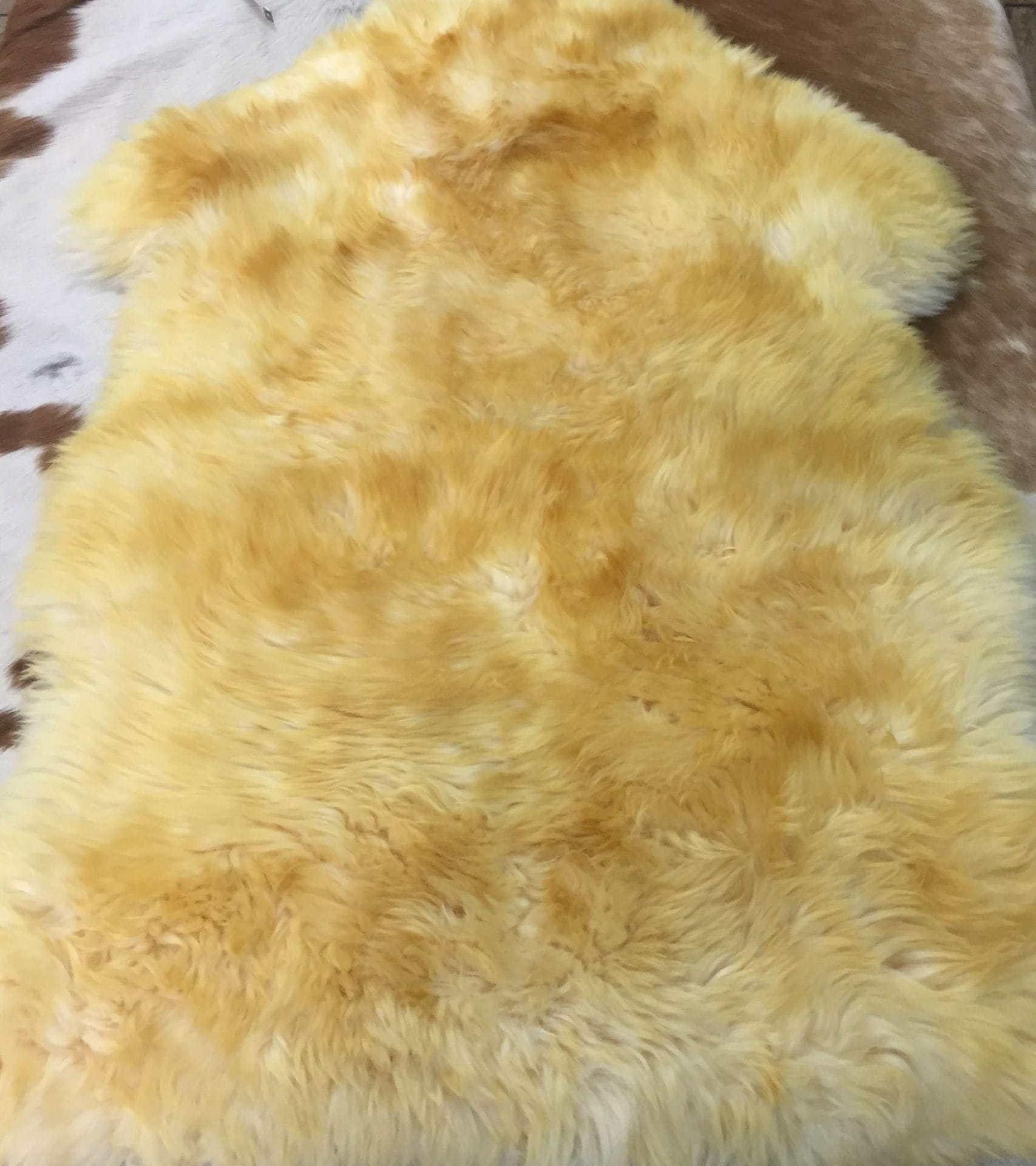 Australian Sheepskin JIN613 Cream YellowTip avetcoinc (6)