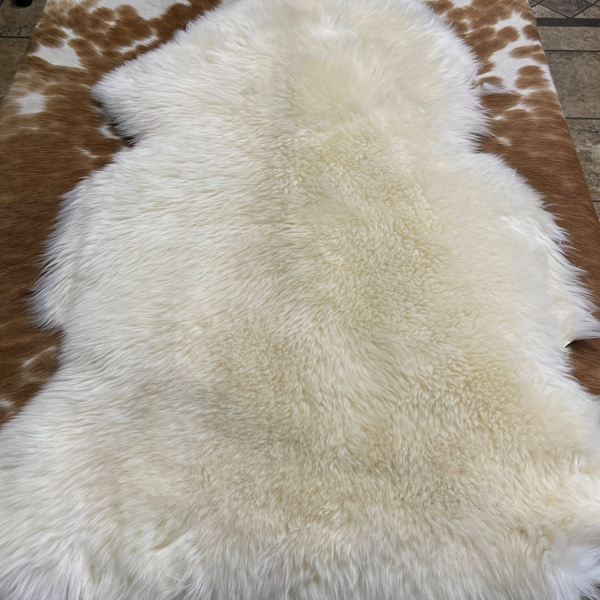 Australian-Sheepskin White avetcoinc (3)