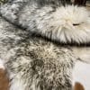 Australian-Sheepskin Wolf Tip avetcoinc (2)