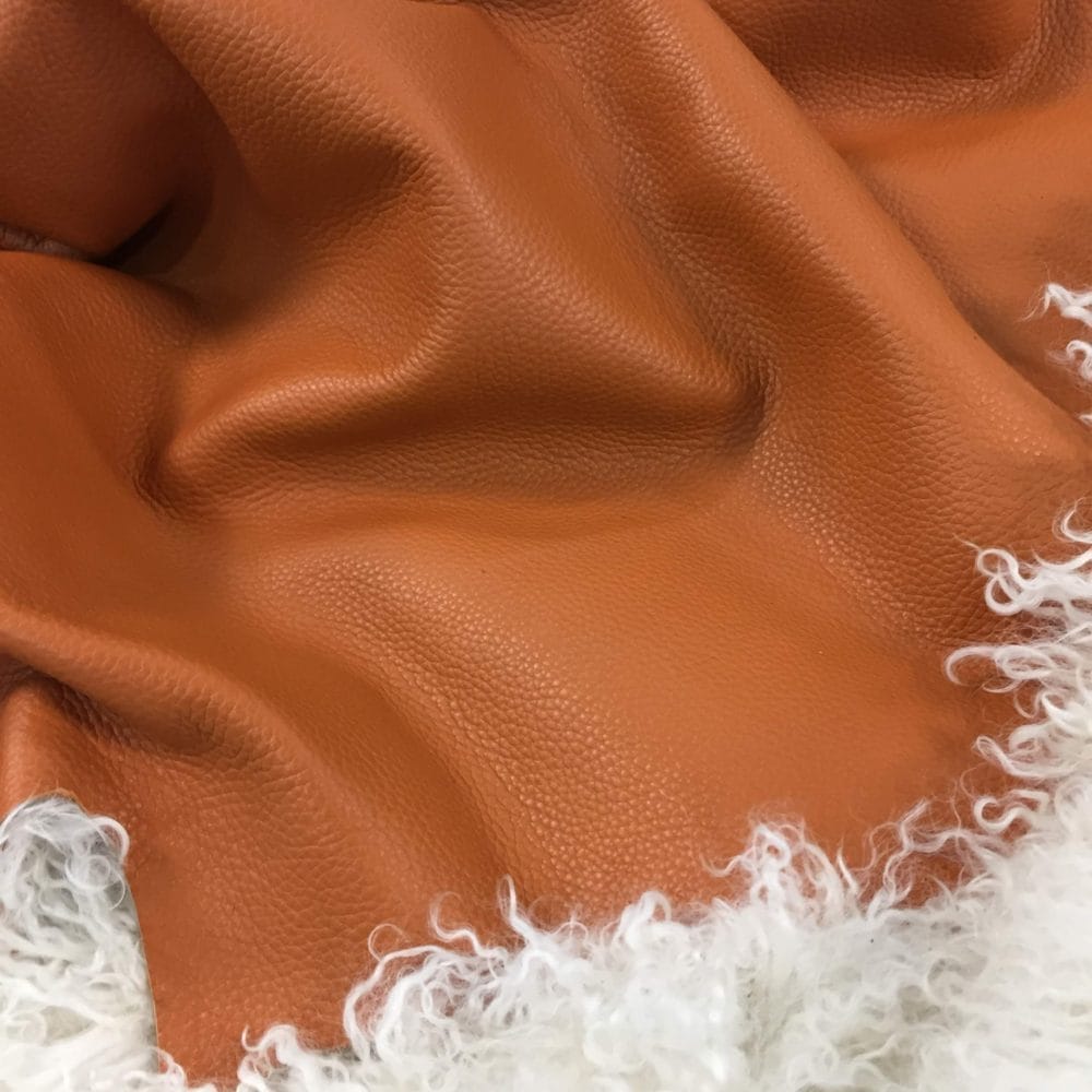 Cobalt Burnt Orange