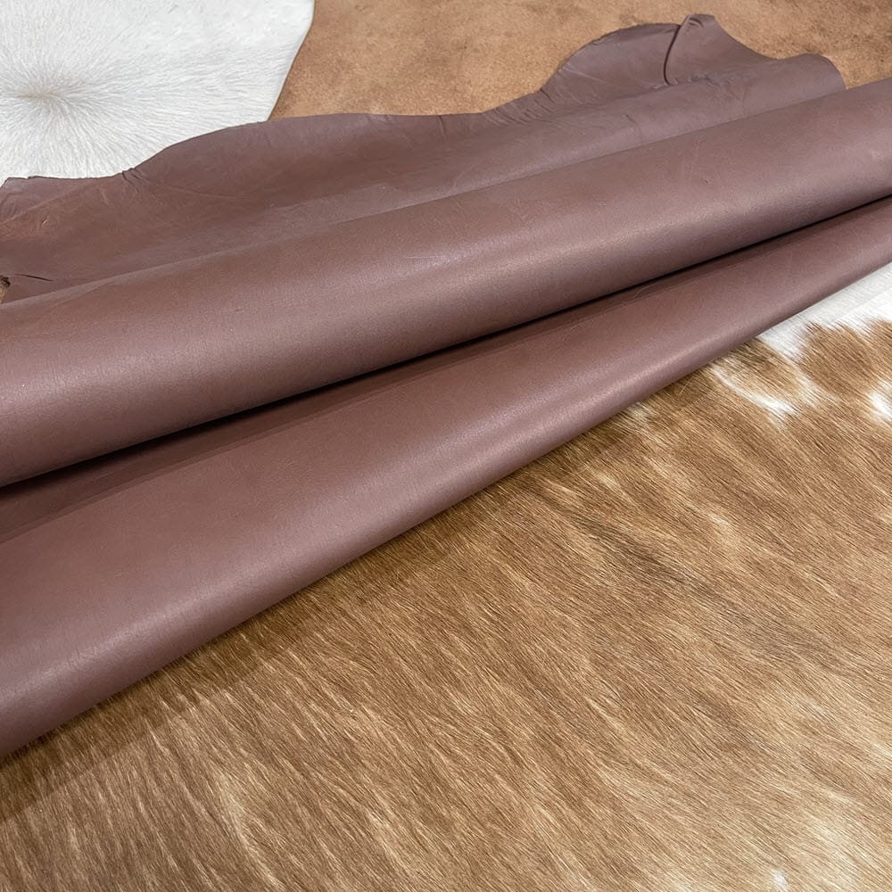 Buffalo Lining Root Beer 4