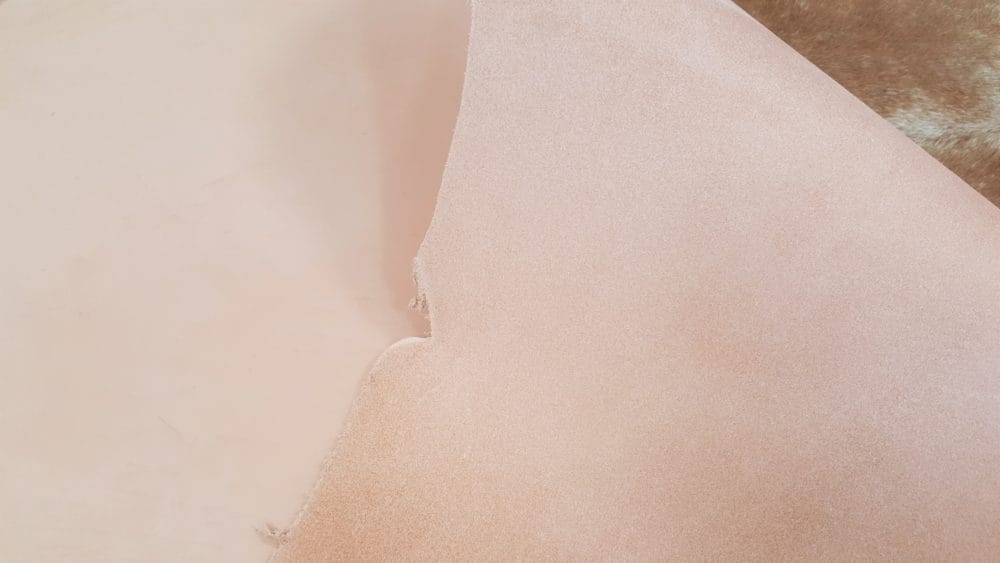 DLSH56D.SHOULDER.56OZ AVETCO (7)