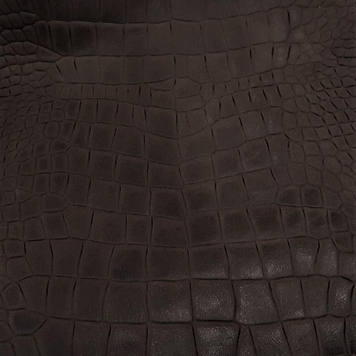 KOP-Escape Alligo-Chocolate