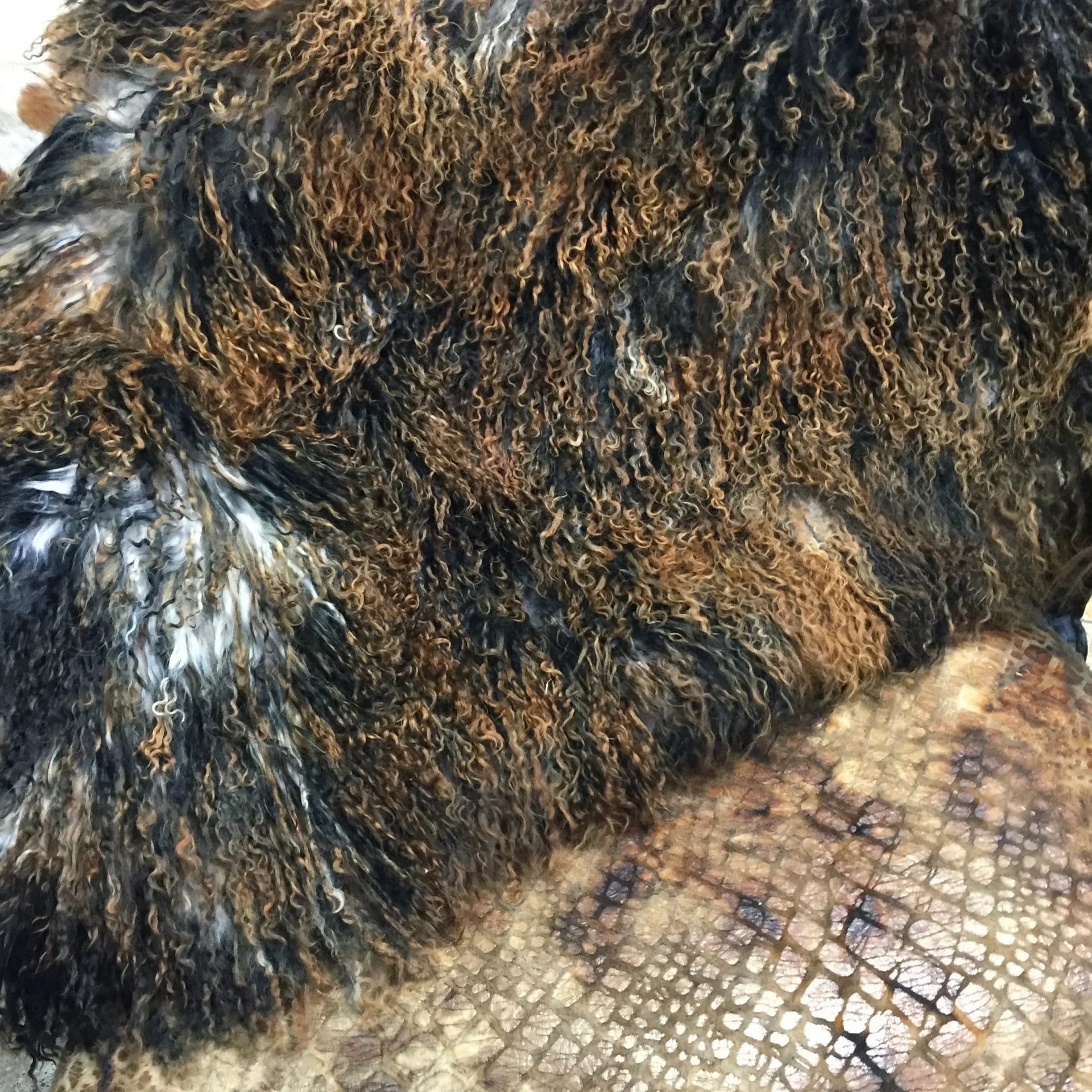 Mongolian Tibetan lamb fur plates 13