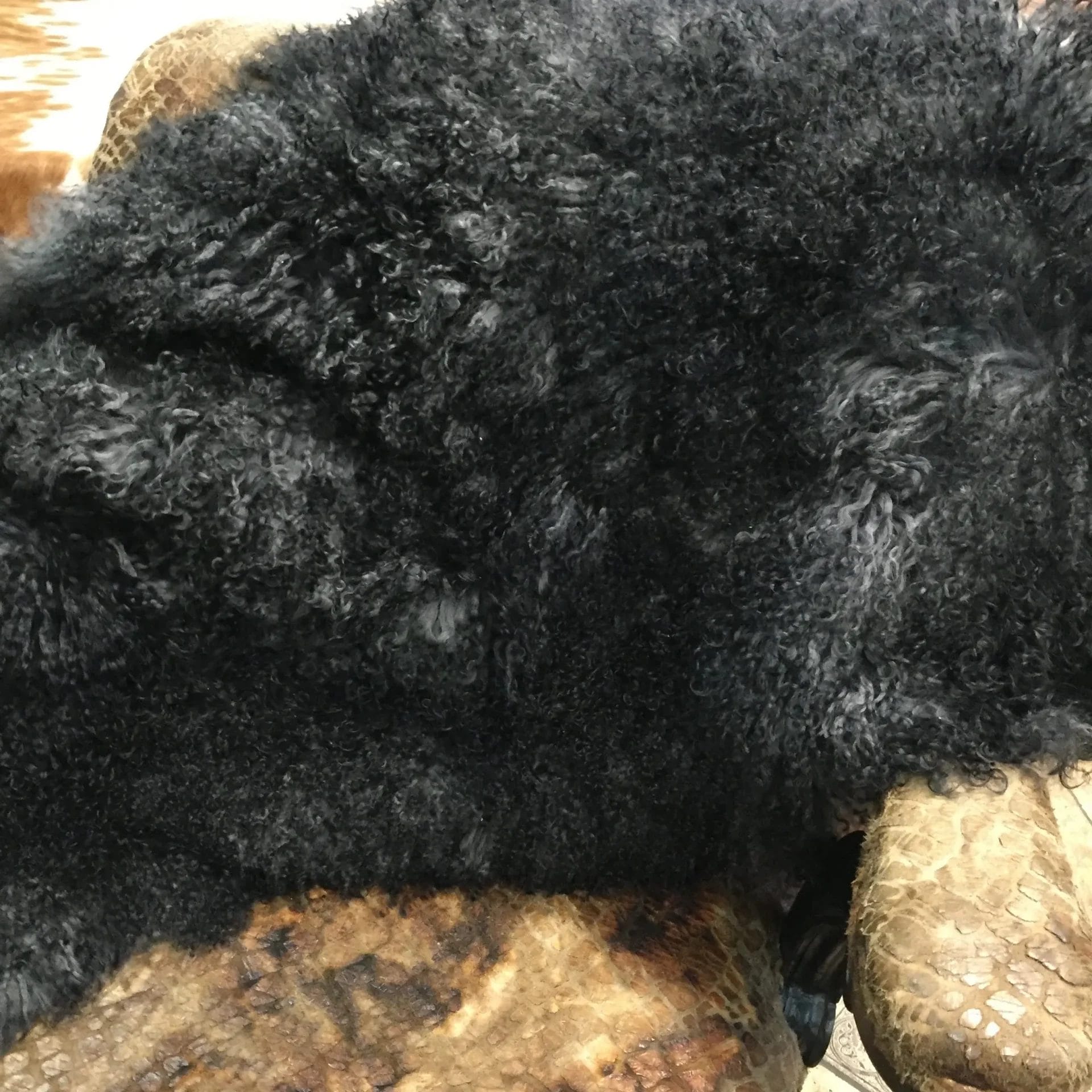 Mongolian Tibetan lamb fur plates 20