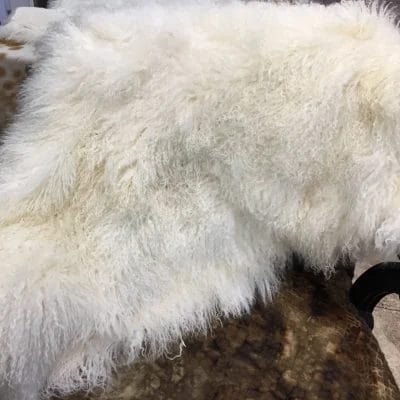 Our Mongolian Tibetan lamb fur plates, handpicked by expert craftsmen, offer superior quality. Each skin is made of the finest silky, long, and ultra-soft wool, ensuring it meets your standards. These plates are perfect for adding a touch of luxury to your home decor. You can use them to upholster furniture such as sofas, chairs, ottomans, benches, etc. They are also widely used in the fashion industry to create scarves, boas, tote bags, garments, and accessories. These 2ft x 4ft plates made with 4-5 inch long curly soft wool offer both style and comfort, making them an excellent choice for home decor or fashion.