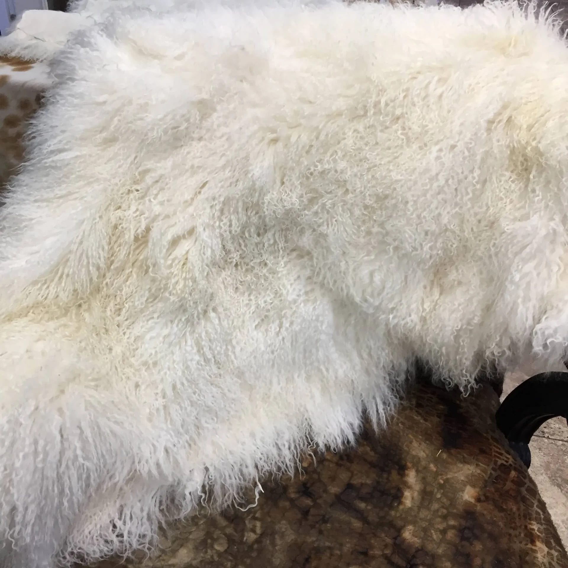 Mongolian Tibetan lamb fur plates 36 Our Mongolian Tibetan lamb fur plates, handpicked by expert craftsmen, offer superior quality. Each skin is made of the finest silky, long, and ultra-soft wool, ensuring it meets your standards. These plates are perfect for adding a touch of luxury to your home decor. You can use them to upholster furniture such as sofas, chairs, ottomans, benches, etc. They are also widely used in the fashion industry to create scarves, boas, tote bags, garments, and accessories. These 2ft x 4ft plates made with 4-5 inch long curly soft wool offer both style and comfort, making them an excellent choice for home decor or fashion.