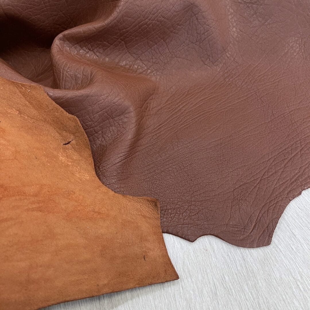 SL-107COG Bubble Lamb 2