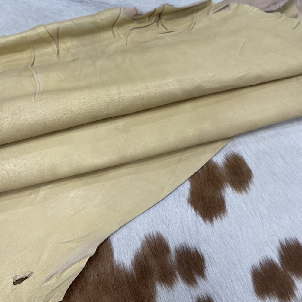 SL-209WHE Wheat Goat 2