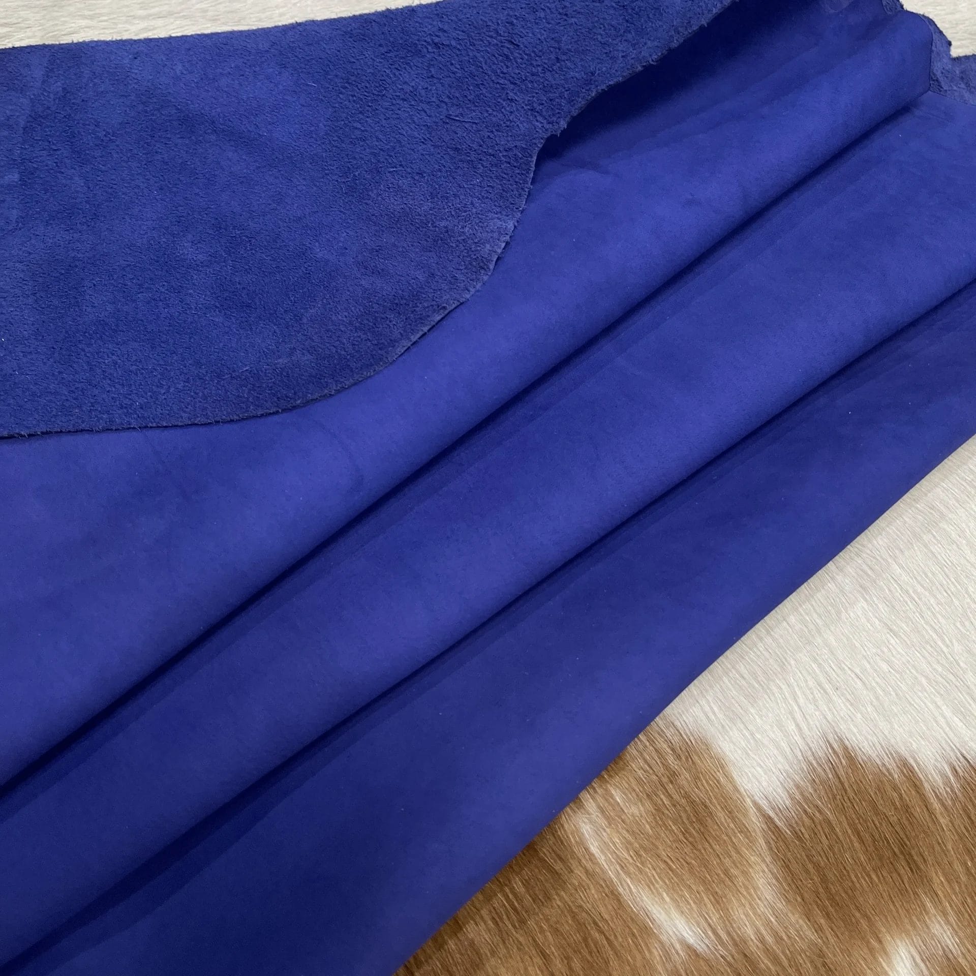 SL305 Royal Blue 2