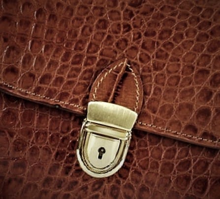 cat-accessories-lock-closures