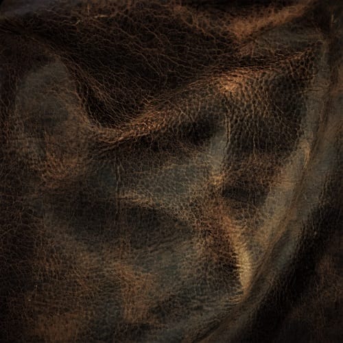 leathers-species-buffalo