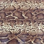 Python Pattern Embossed Cowhide