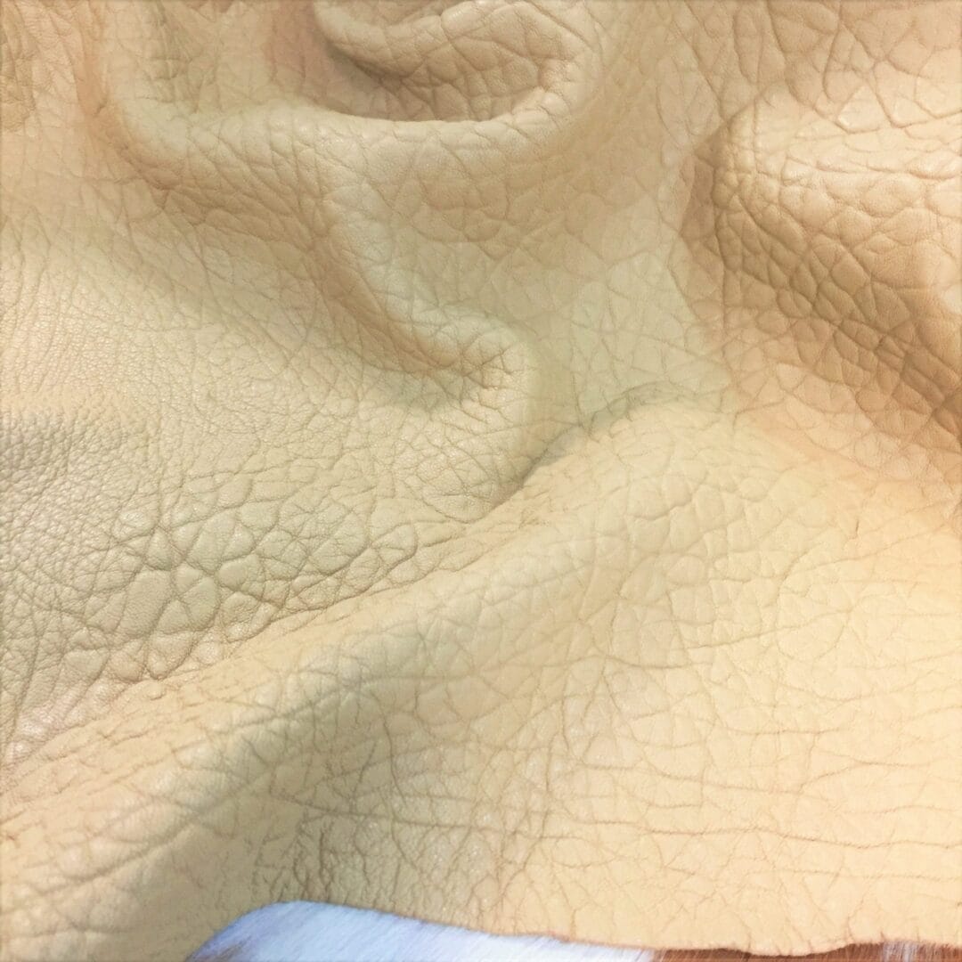 Tan Lambskin Avetcoinc@