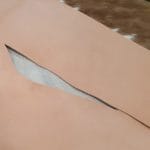 Veg tanned bellies – natural 3/4 oz leather for lining, wallets, and tooling projects