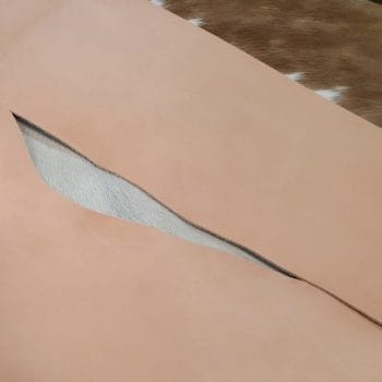 Veg tanned bellies – natural 3/4 oz leather for lining, wallets, and tooling projects