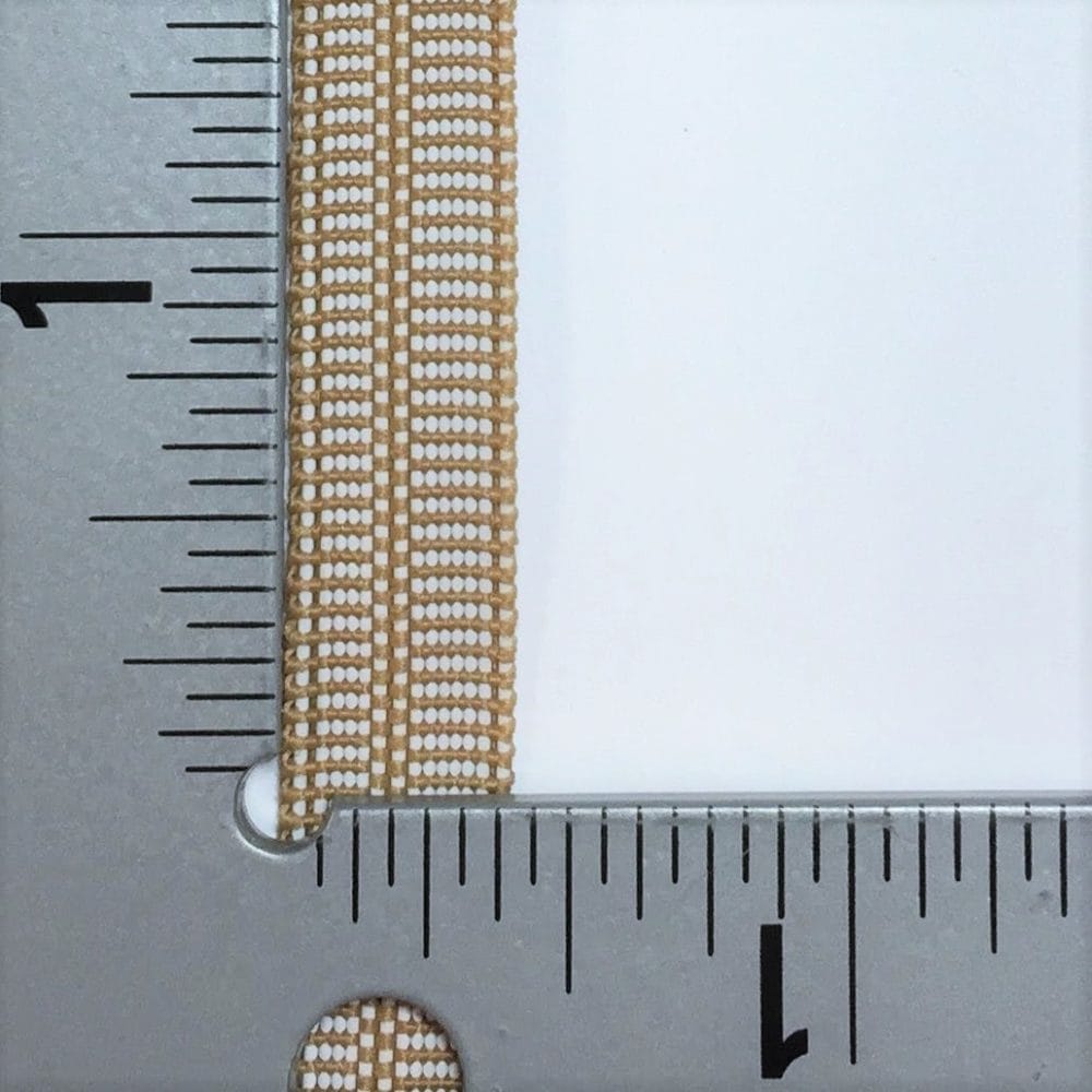 BEIGE ELASITC AVETCOINC 2