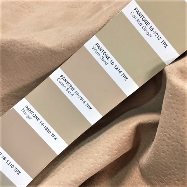 beige pig economy lining avetcoinc@