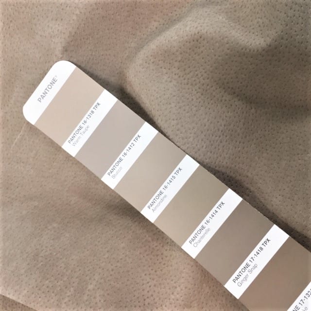 taupe pig economy lining avetcoinc@