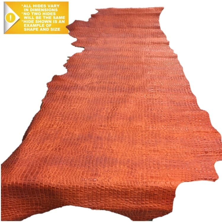 Avetco Inc-Oltu Cow Embossed-Burnt Orange (9)