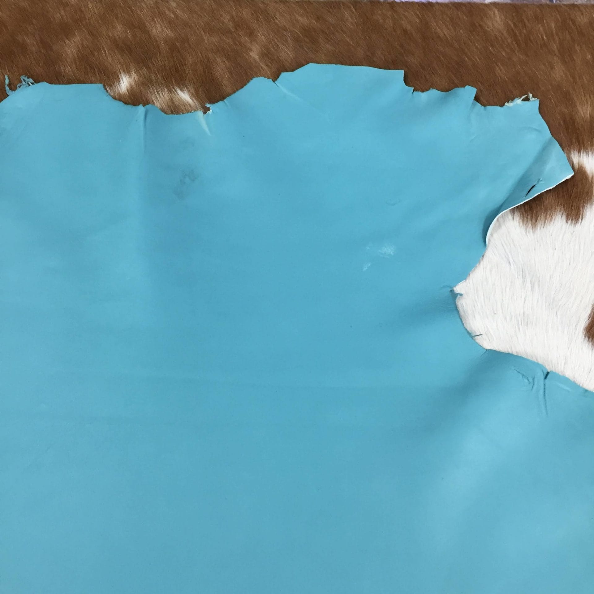 Lambskin SL.1.150 (13)