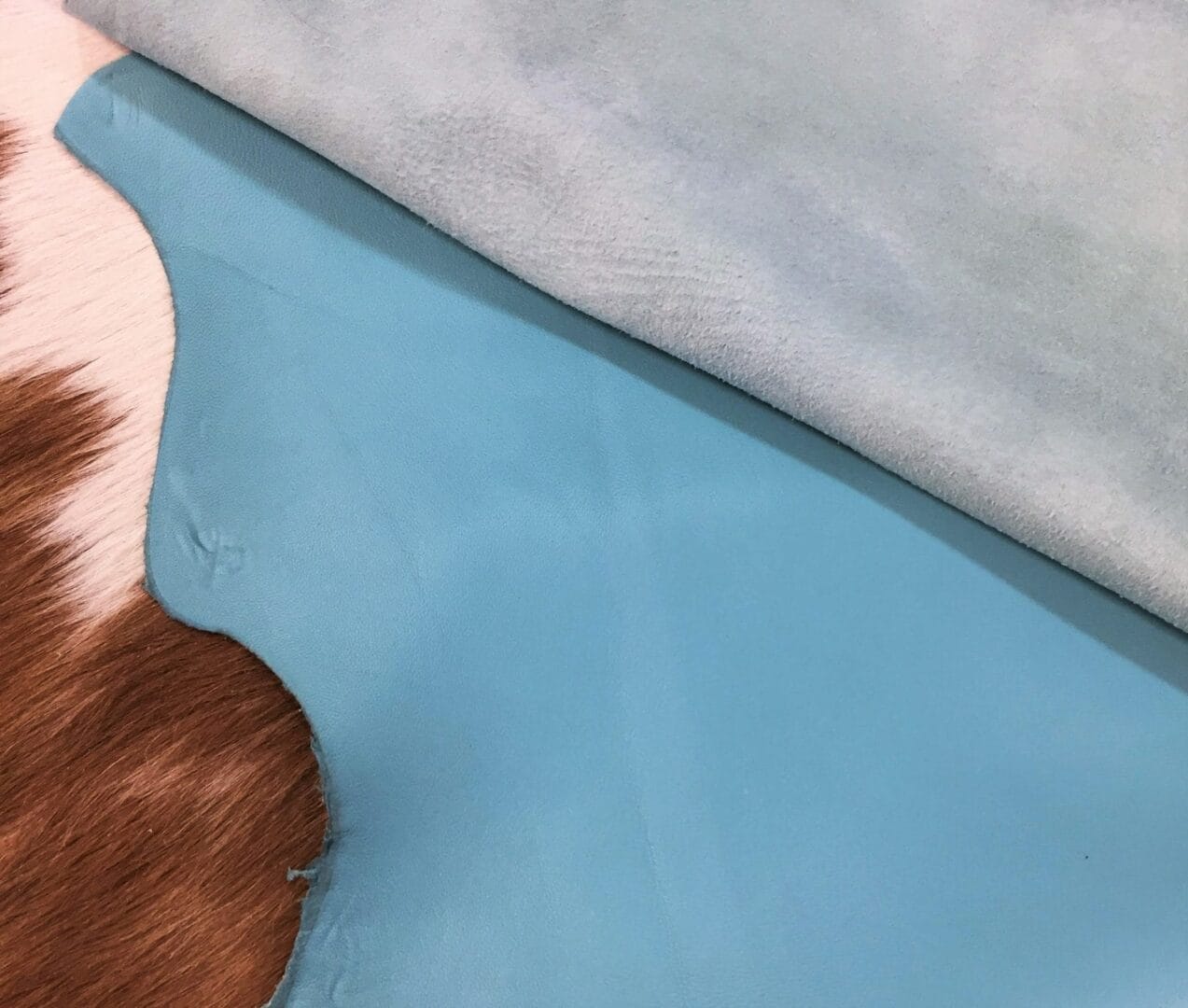 Lambskin SL.1.150 (17)