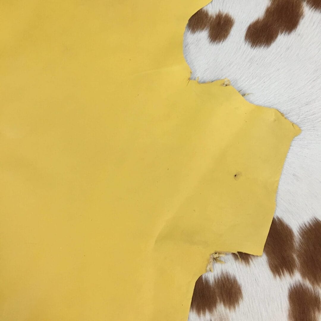 Yellow Lambskin Avetcoinc@