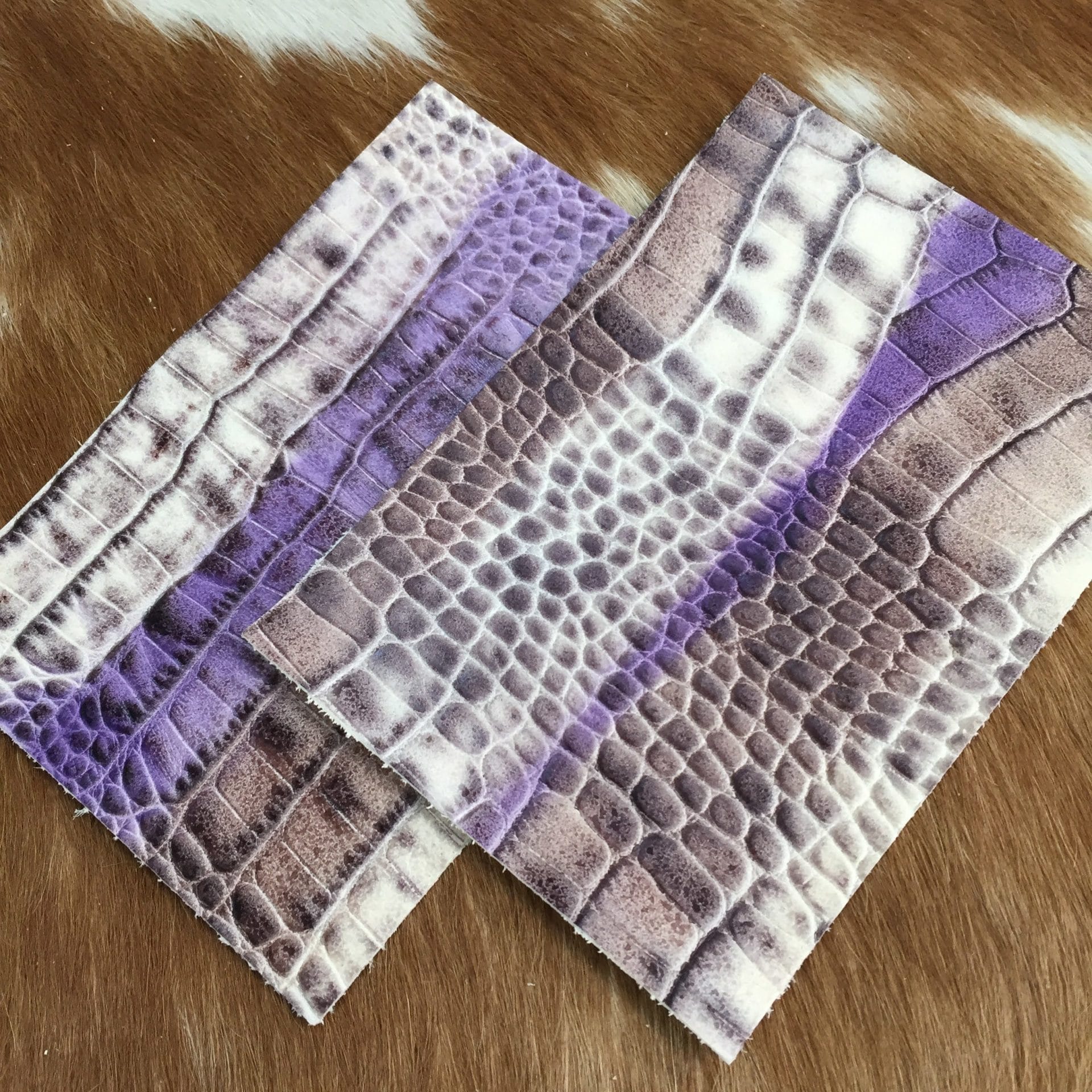 KOP.4.1001.PURPLE.46 (2)