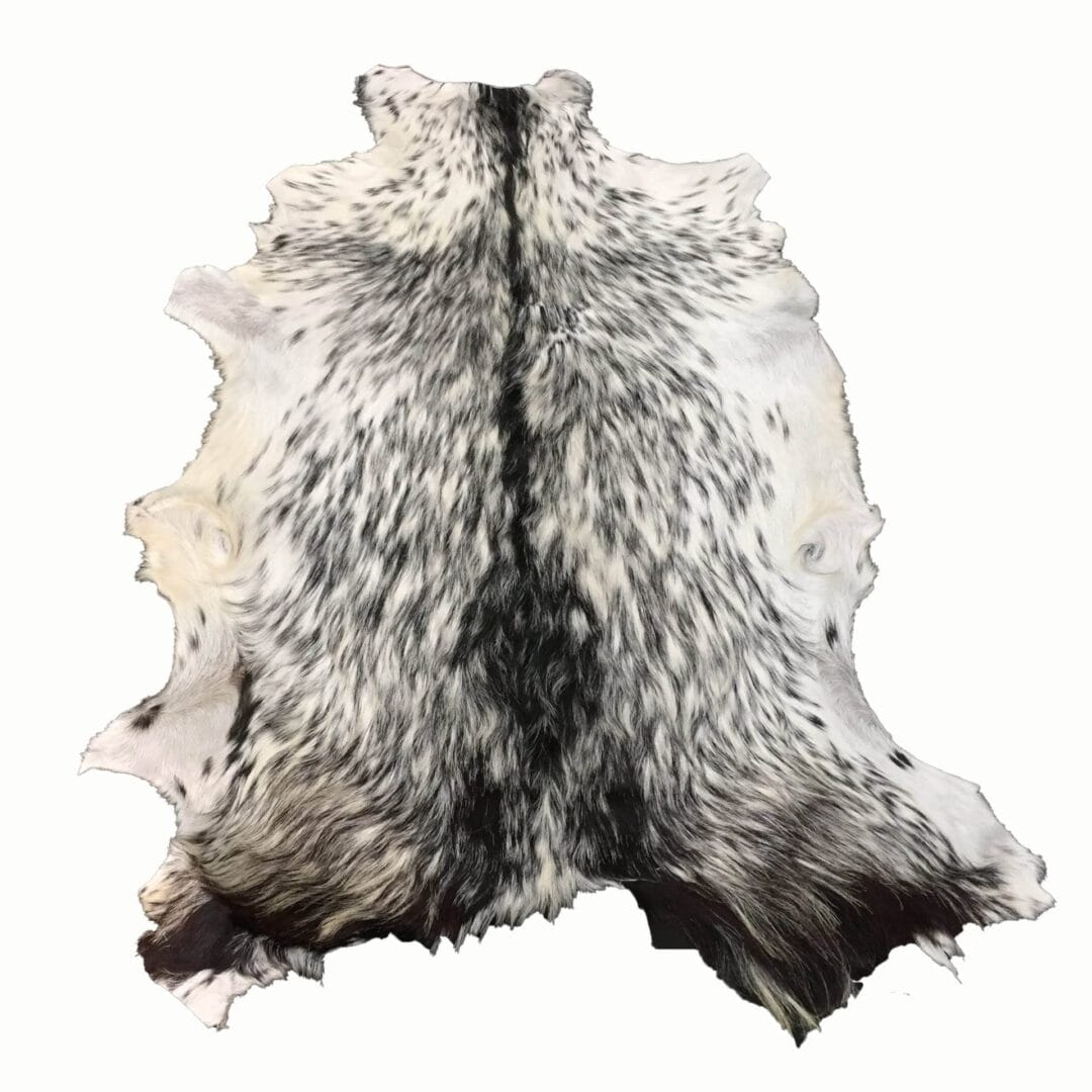 Goat Hair On Variation #2 (10)