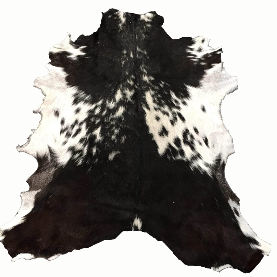 Goat Hair On Variation #2 (11)