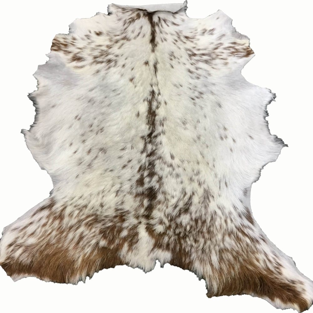 Goat Hair On Variation #2 (15)