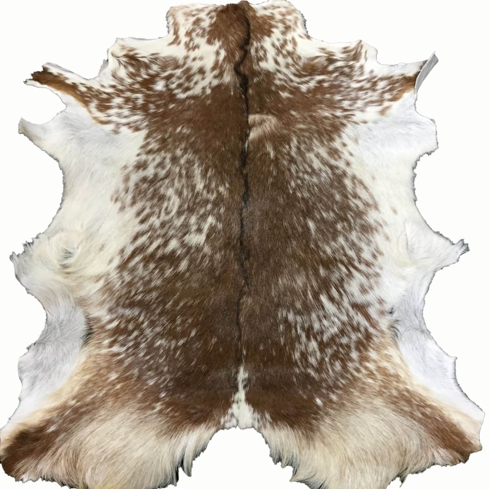 Goat Hair On Variation #2 (17)
