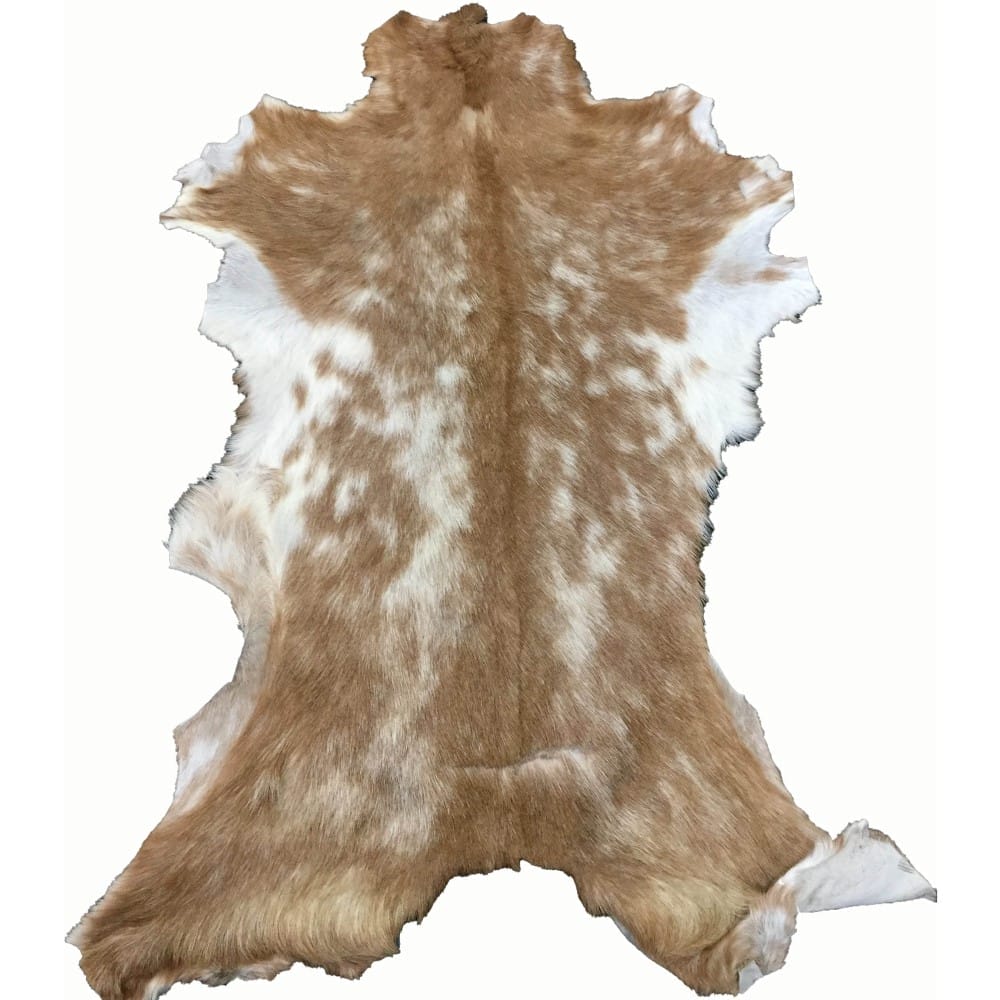 Goat Hair On Variation #2 (18)