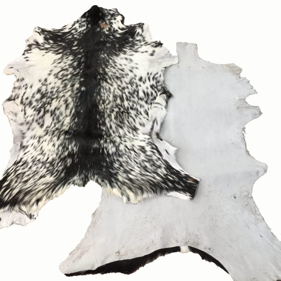 Goat Hair On Variation #2 (2)