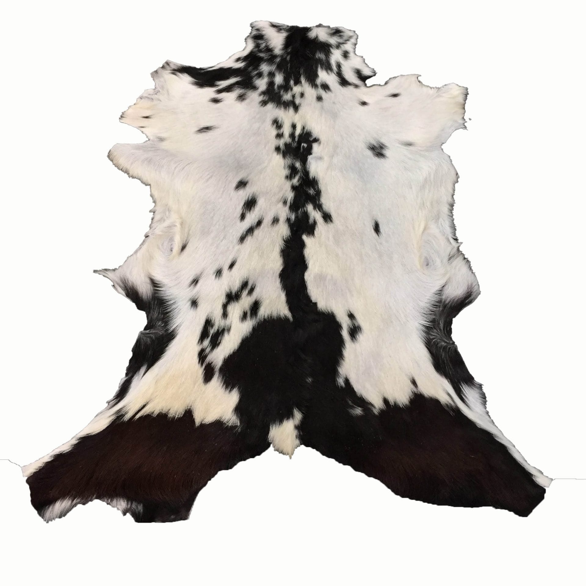 Goat Hair On Variation #2 (3)