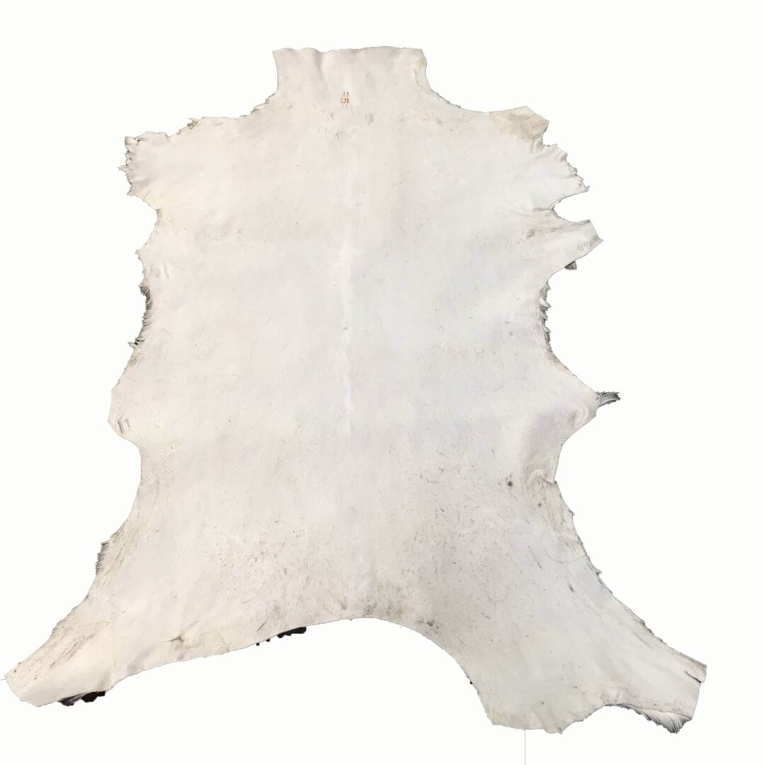 Goat Hair On Variation #2 (4)