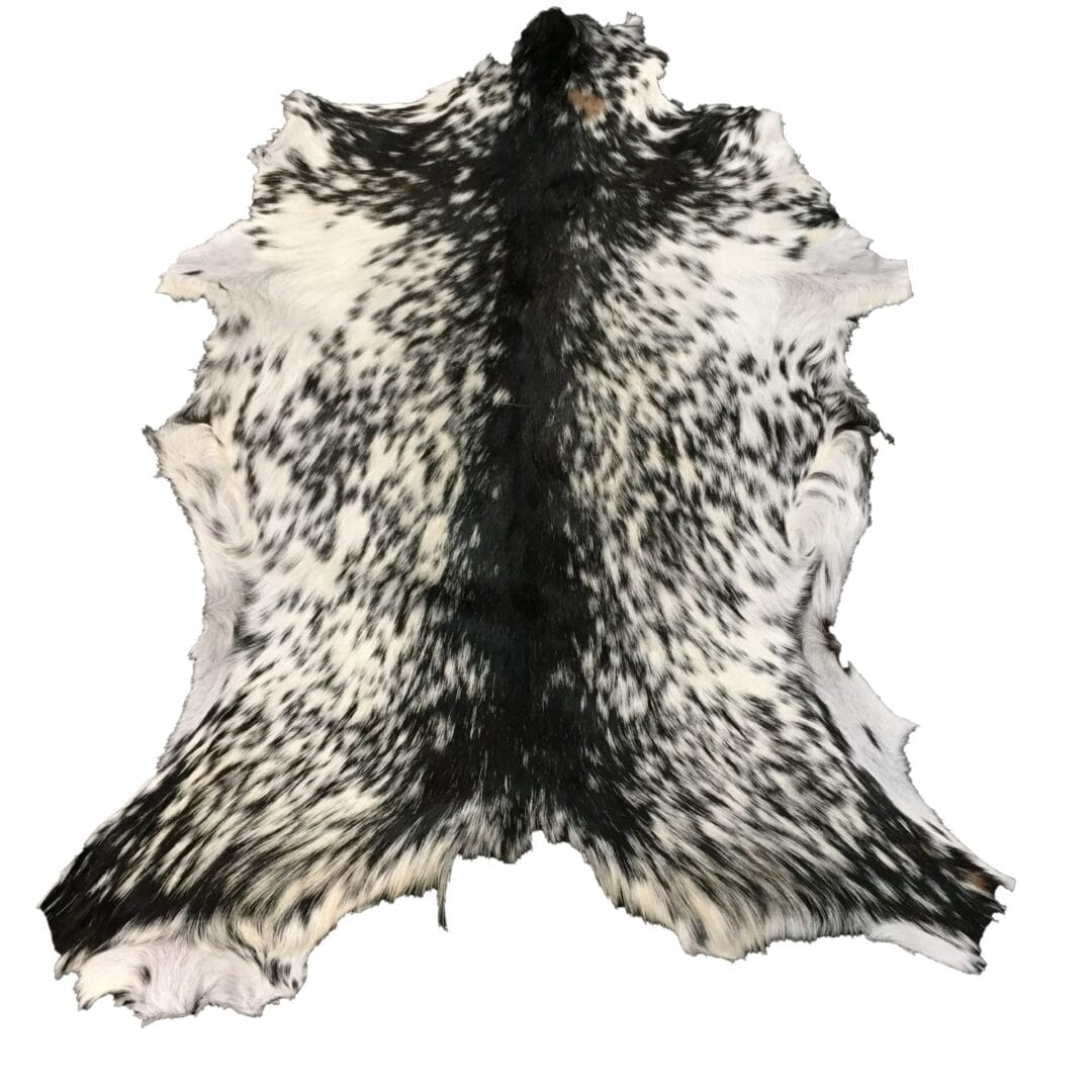 Goat Hair On Variation #2 (5)