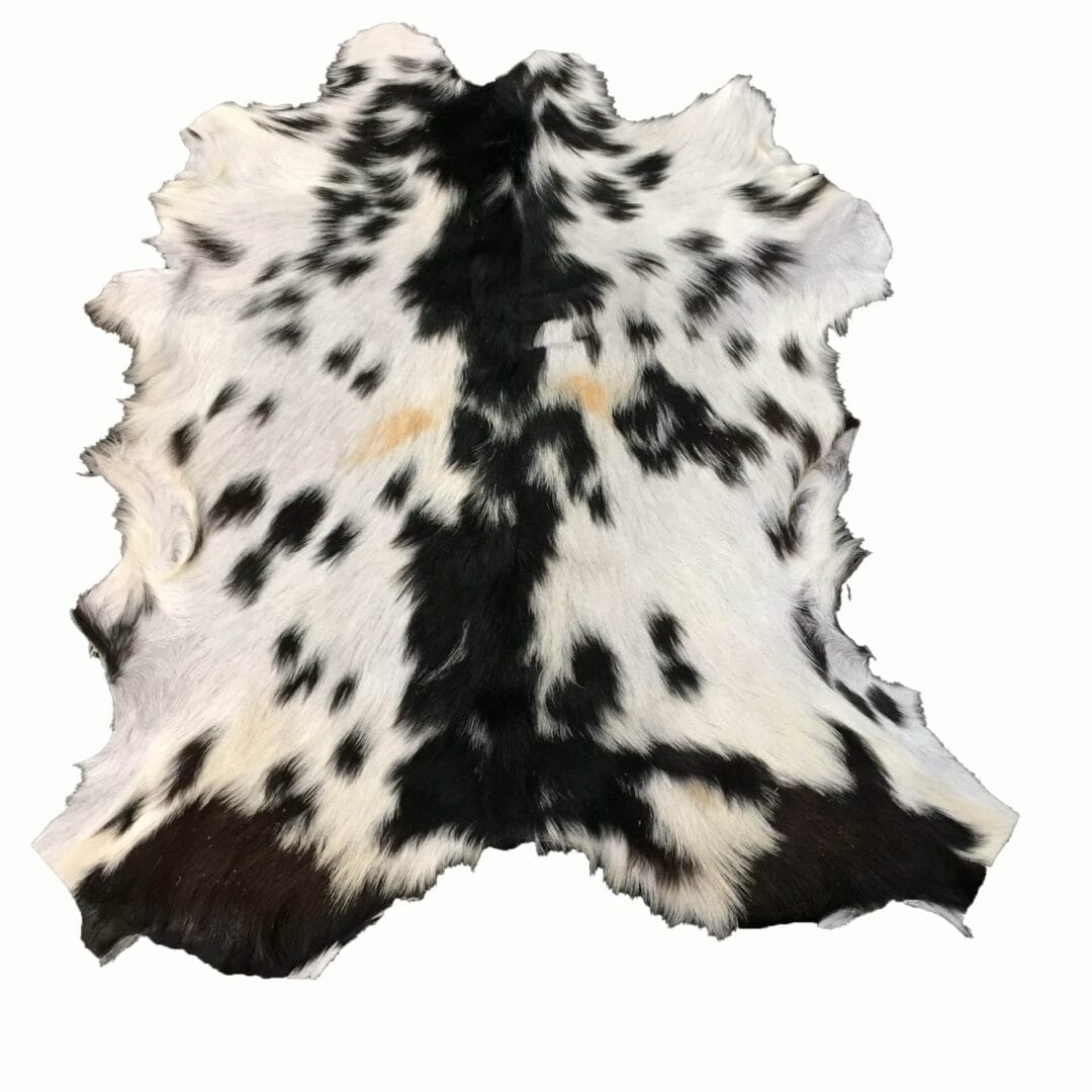 Goat Hair On Variation #2 (6)