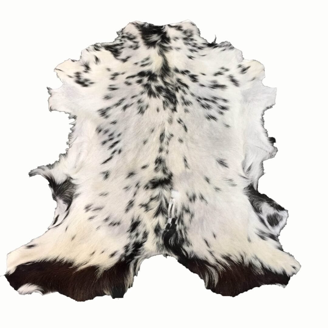 Goat Hair On Variation #2 (7)