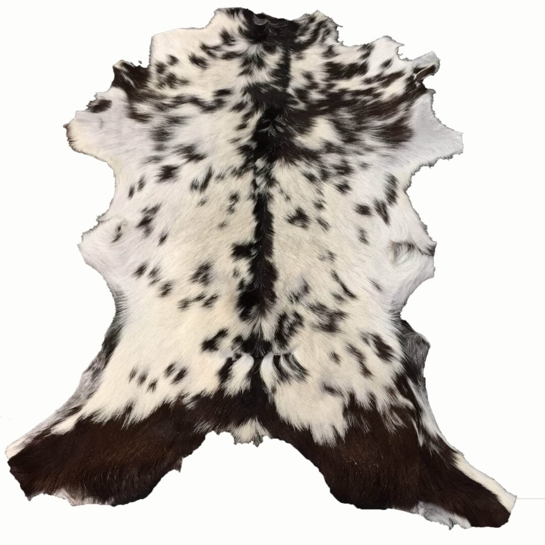 Goat Hair On Variation #2 (8)