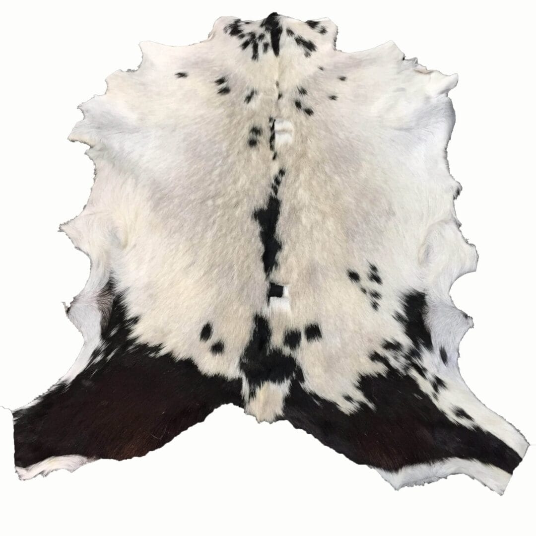 Goat Hair On Variation #2 (9)