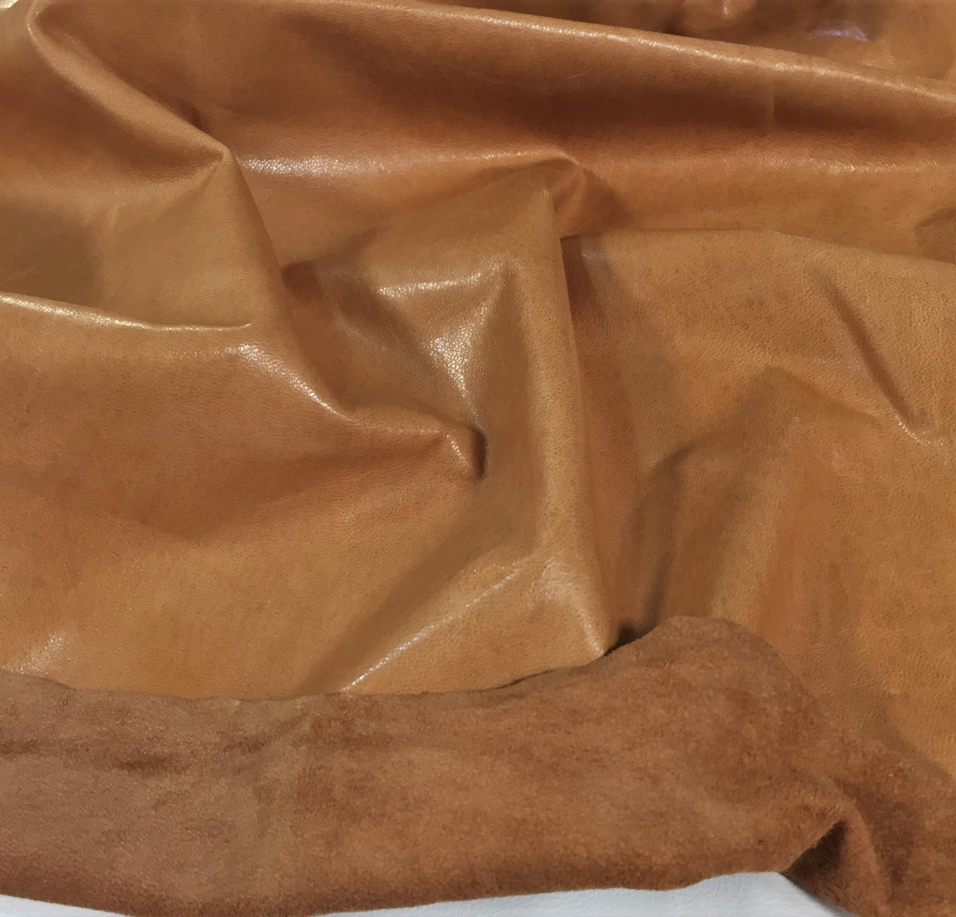 LOX TAN Lambskin avetcoinc@