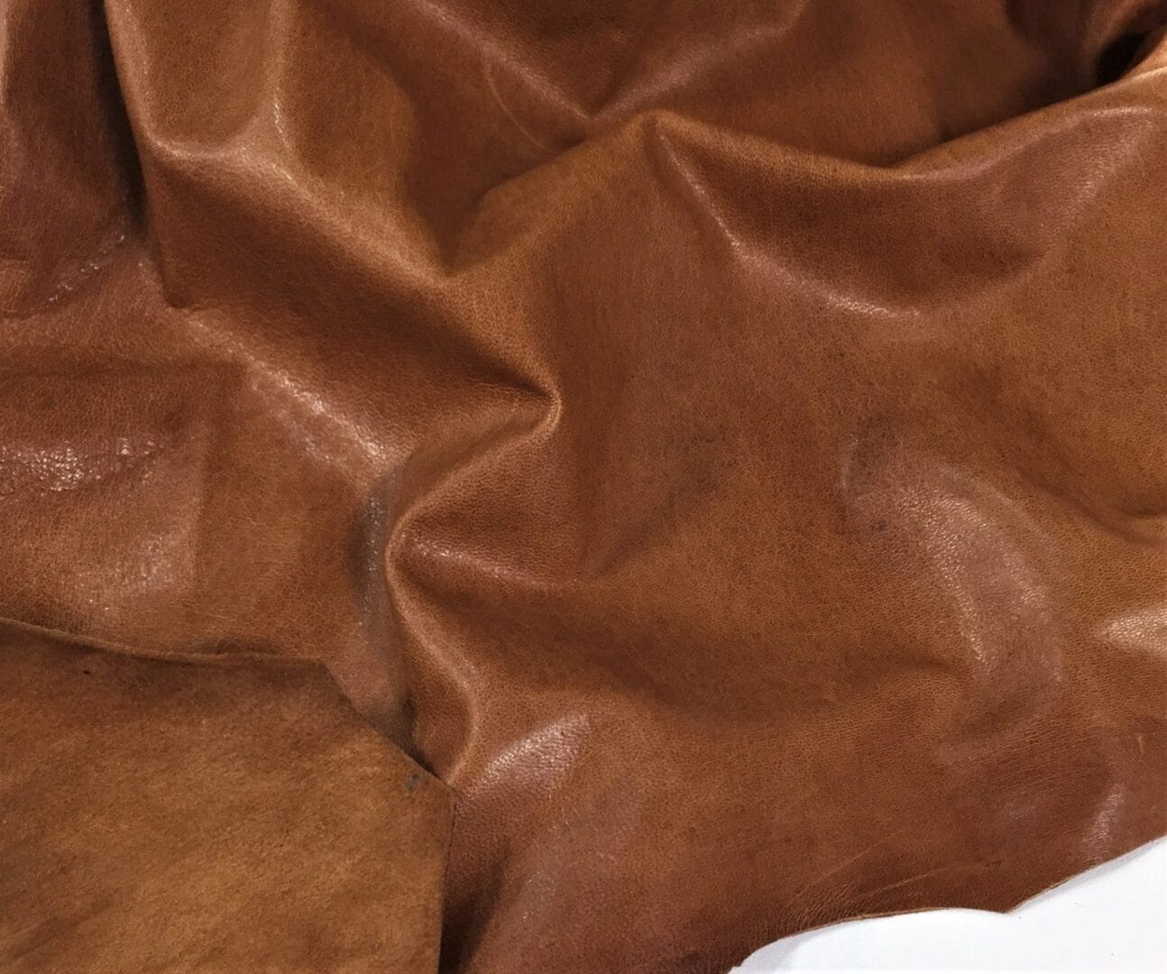 SL-2004 Glazed Ginger (4)