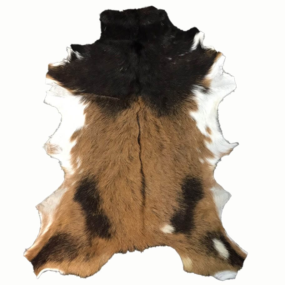 SL.2900. GOAT HAIR ON #1 8 (1)
