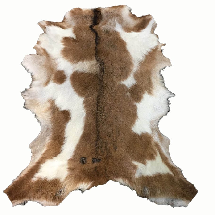 SL.2900. GOAT HAIR ON #1 8 (11)