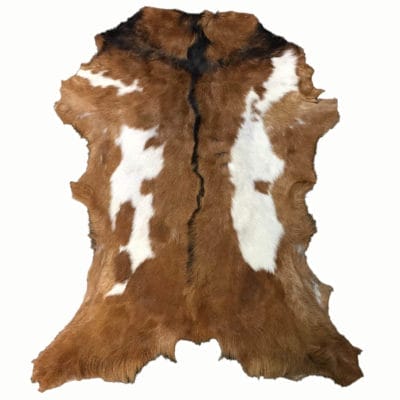 Hair On Goat Hides #1